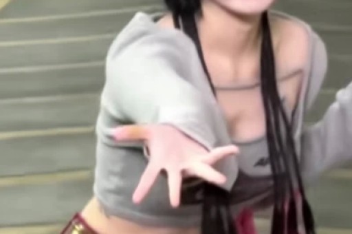 网红狗“锄头”之死